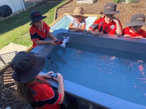 Students standing around aquaponics water tub