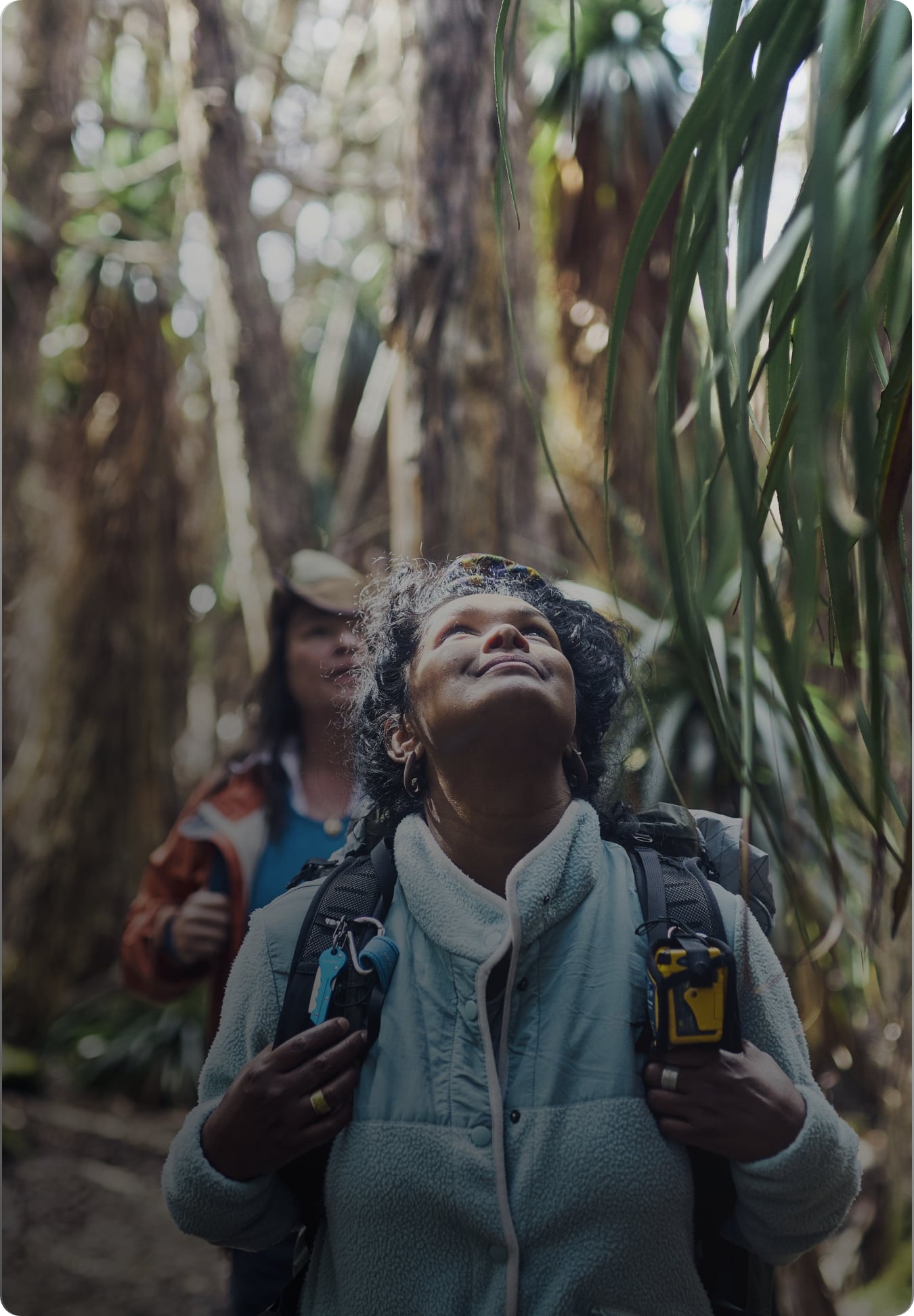 What to know about share market volatility