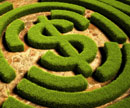 Garden hedge made into a dollar sign