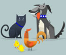 Cartoon cat, dog and chickens